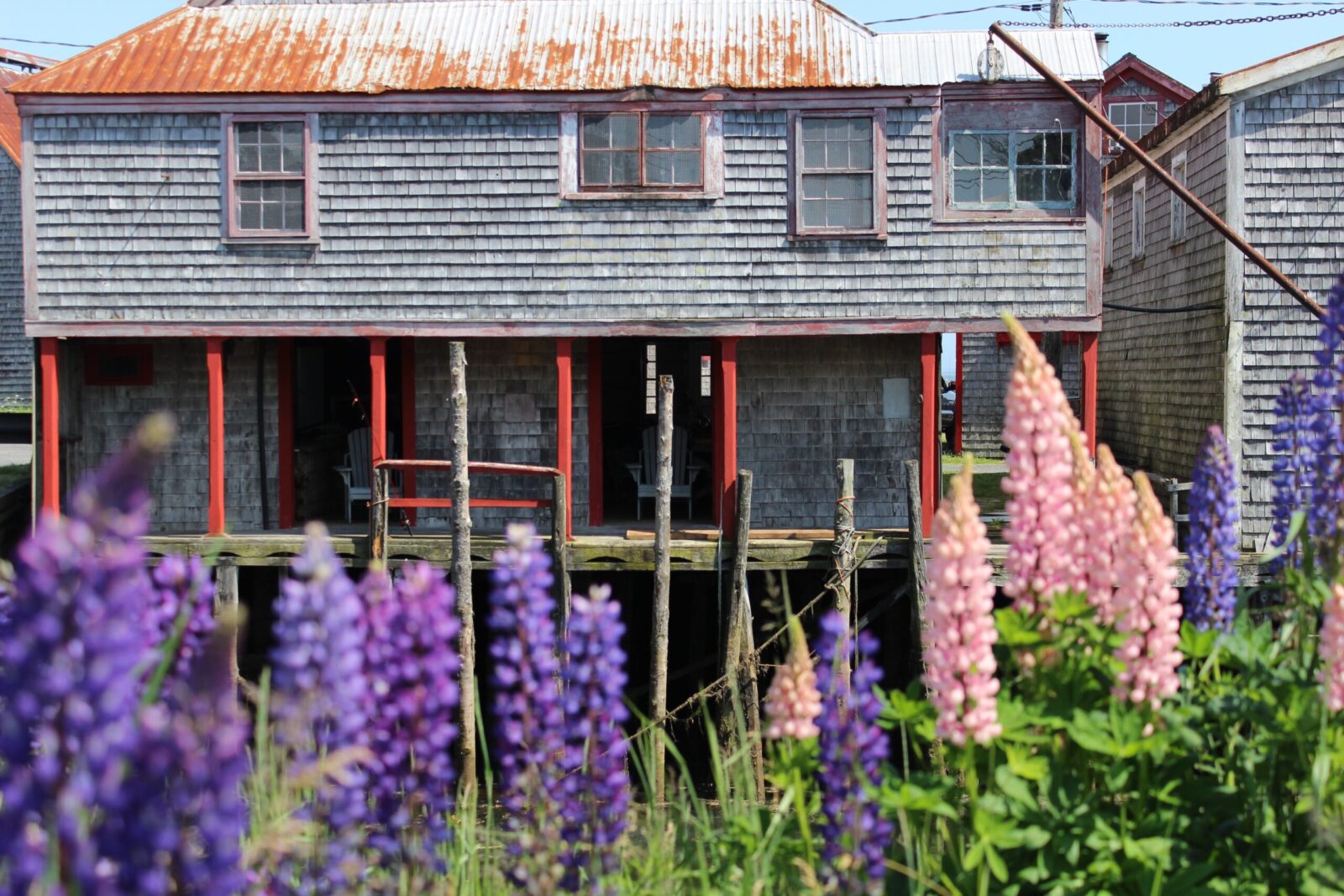 A wooden house with purple flowers in front of it.