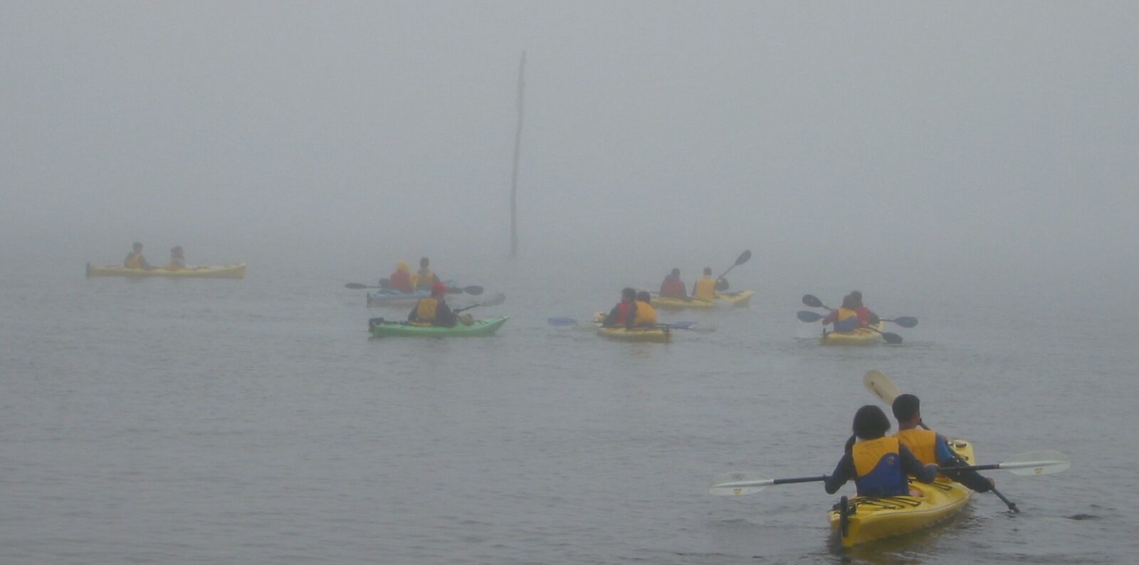 A group of people kayaking on the water in a foggy day.