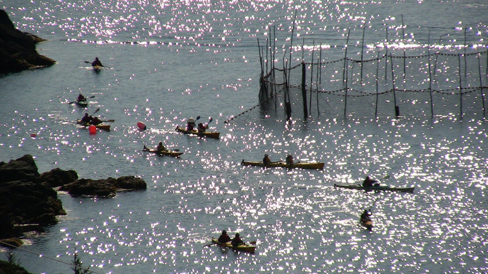 A group of people in canoes in the water.