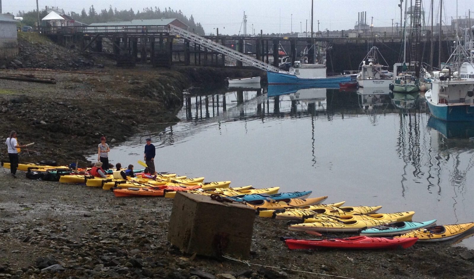 A group of people standing near a dock with kayaks.