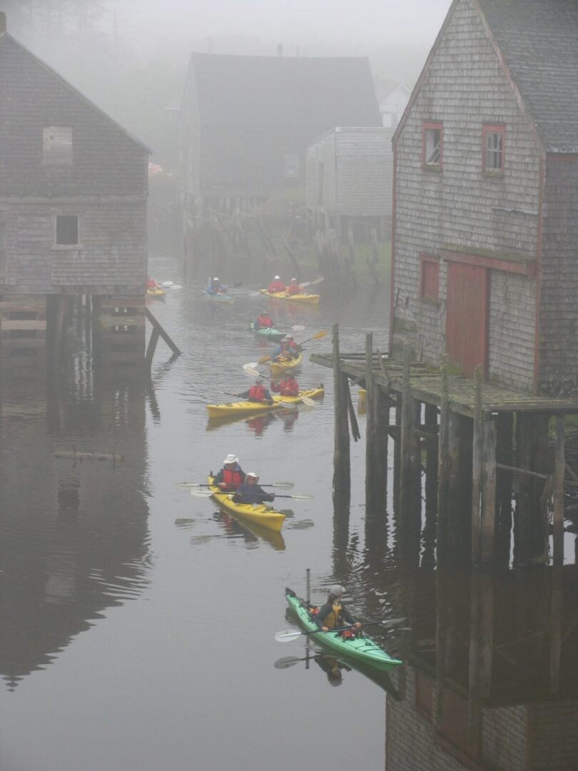 A group of people in kayaks on a foggy day.