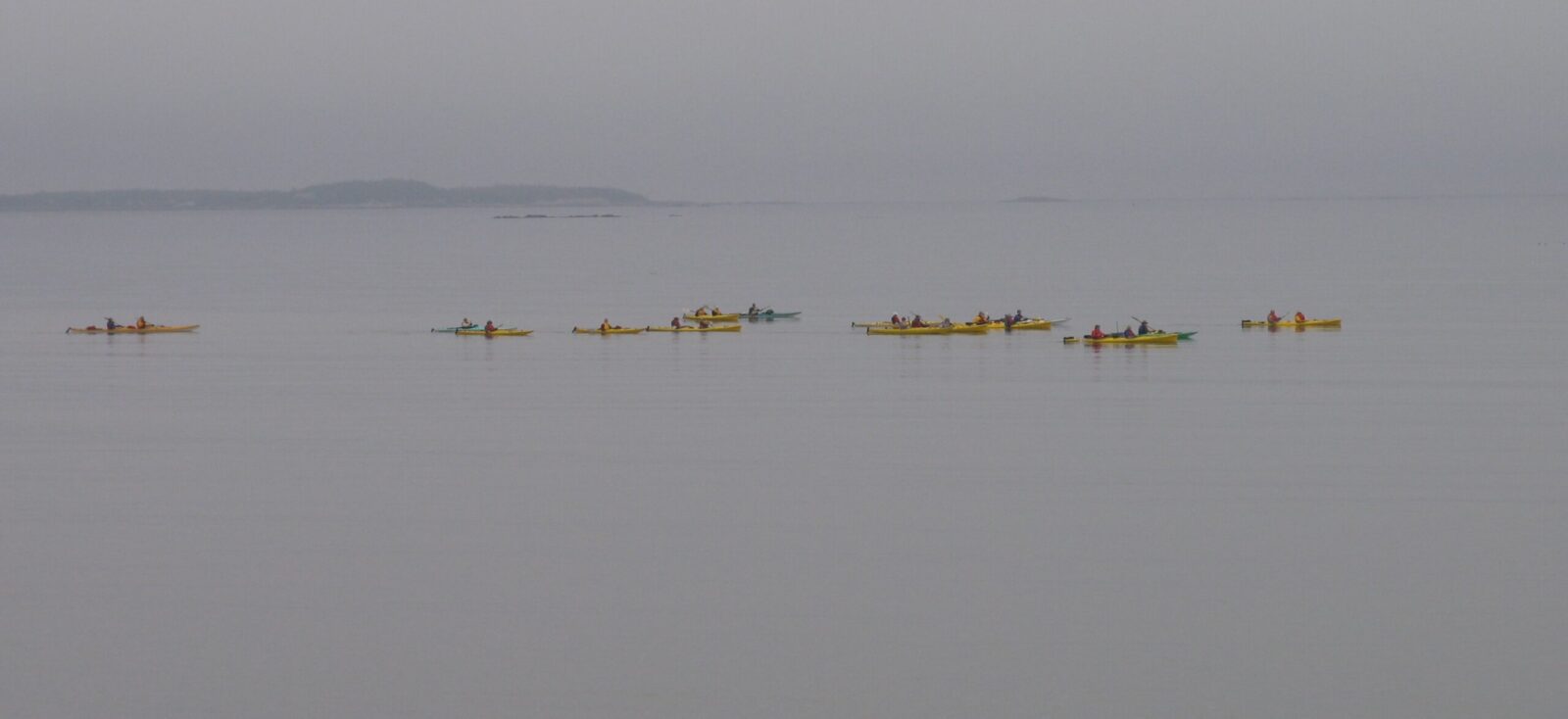 A group of yellow kayaks in the water on a foggy day.