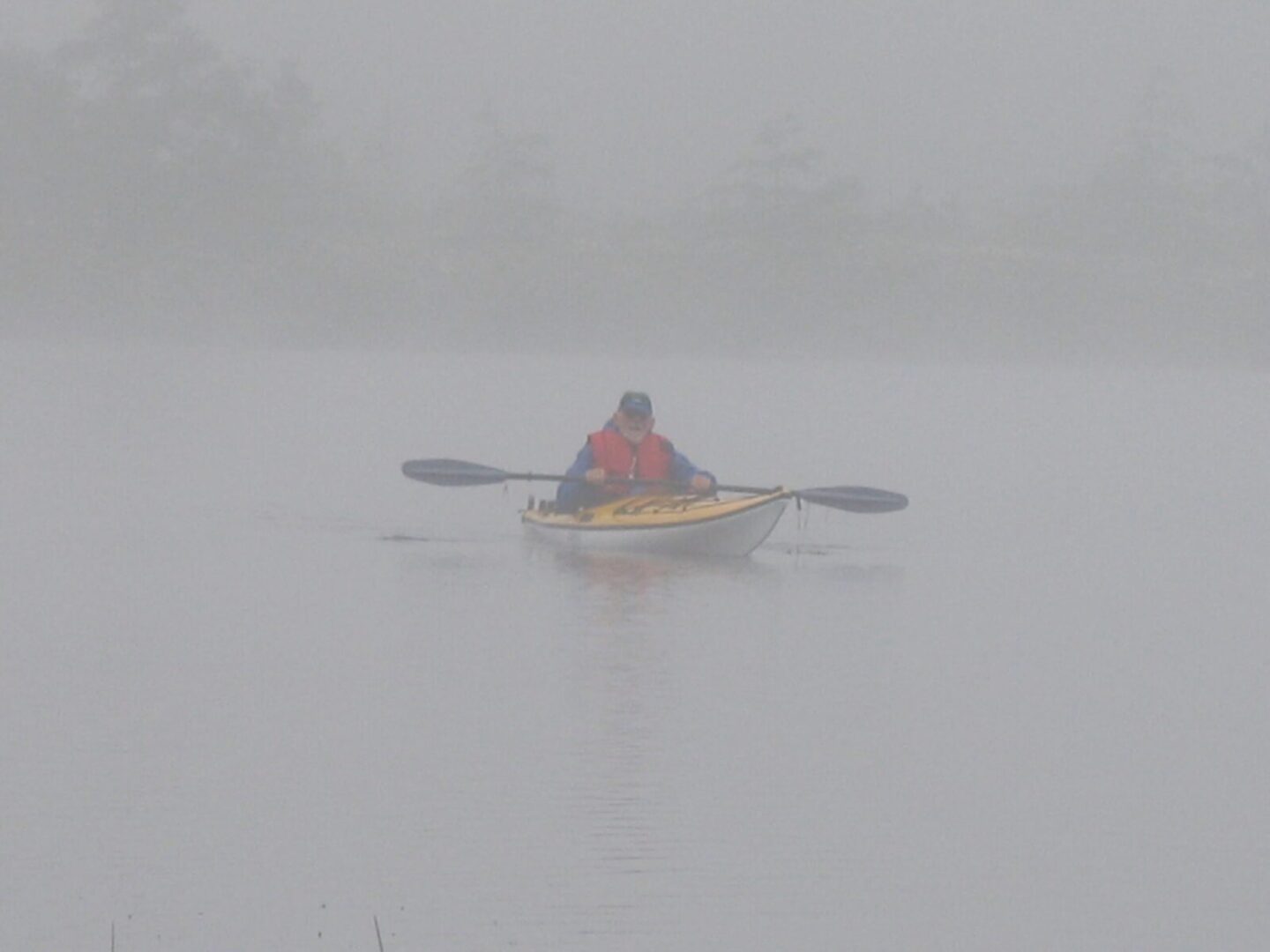 A person in a kayak on a foggy lake.