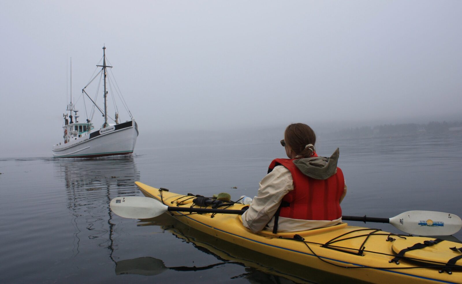 A woman in a kayak on a foggy day.
