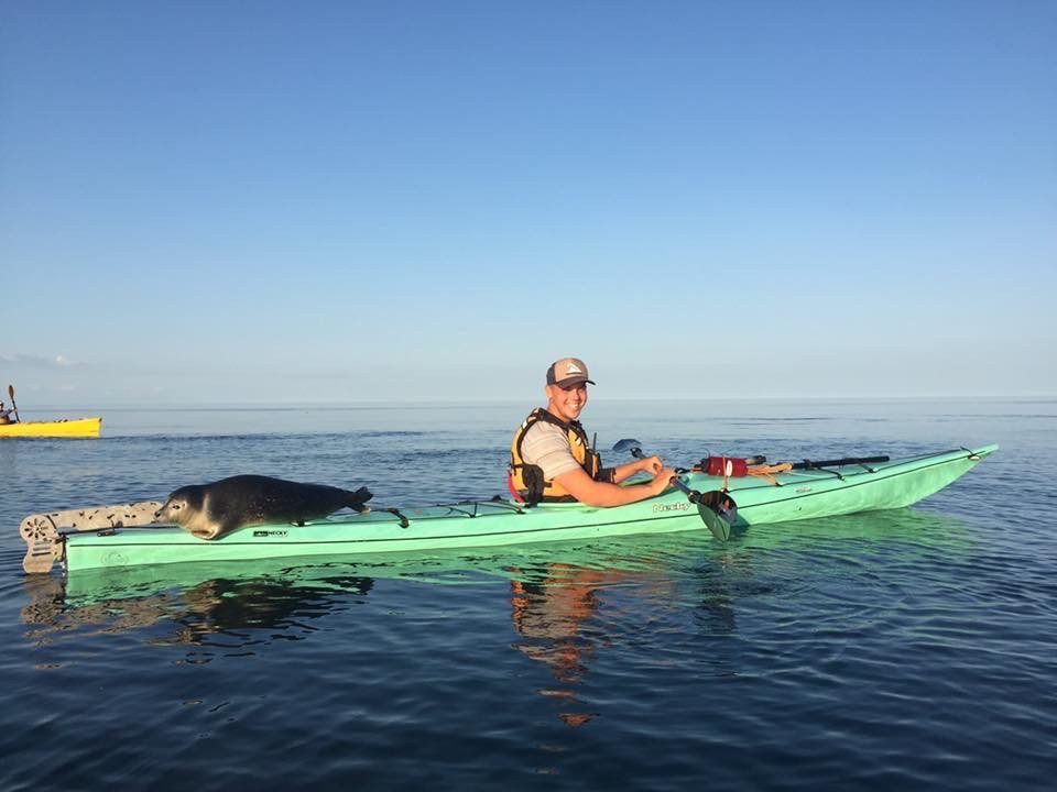 A man in a kayak with a seal in the water.