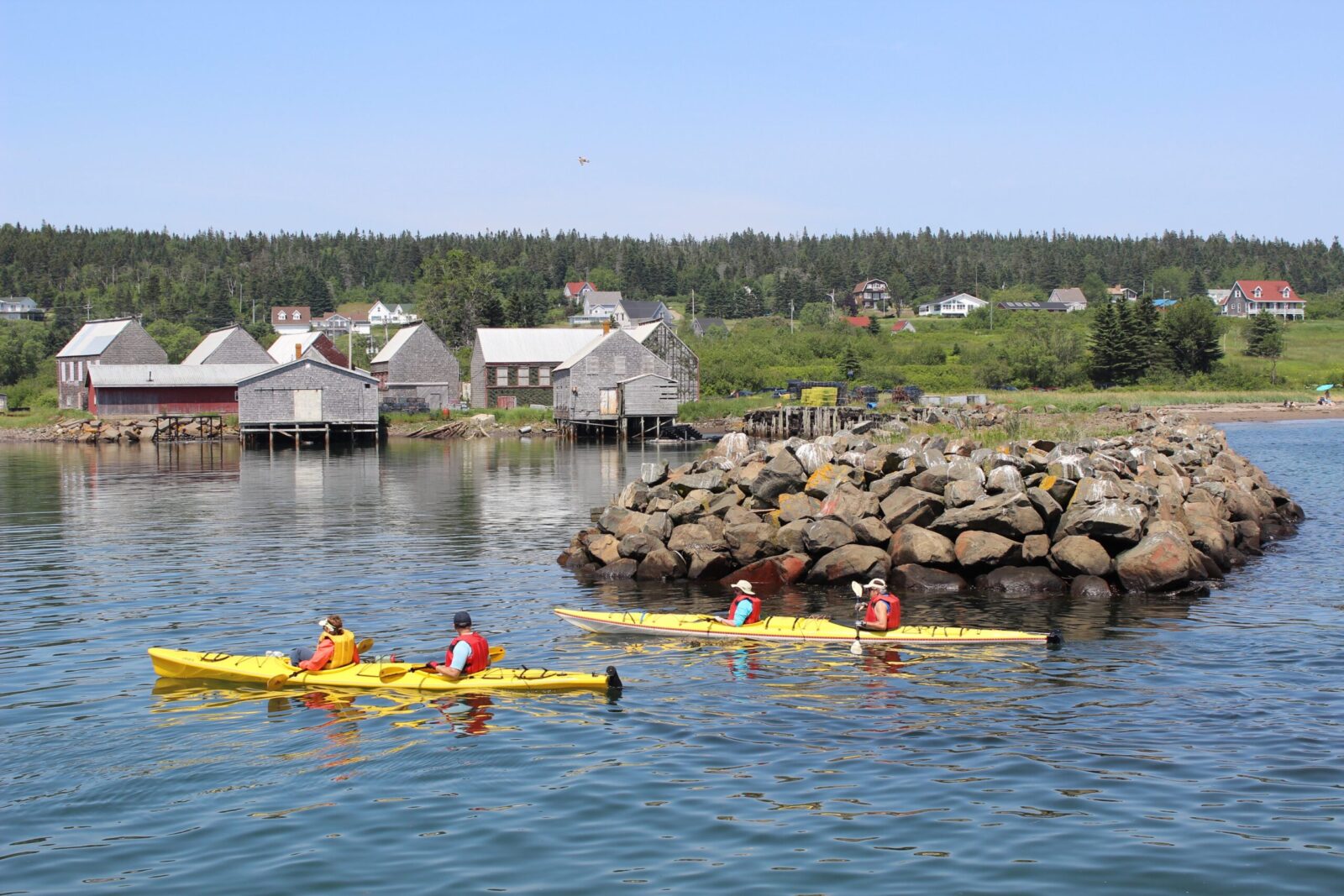 A group of people paddling kayaks in a body of water.