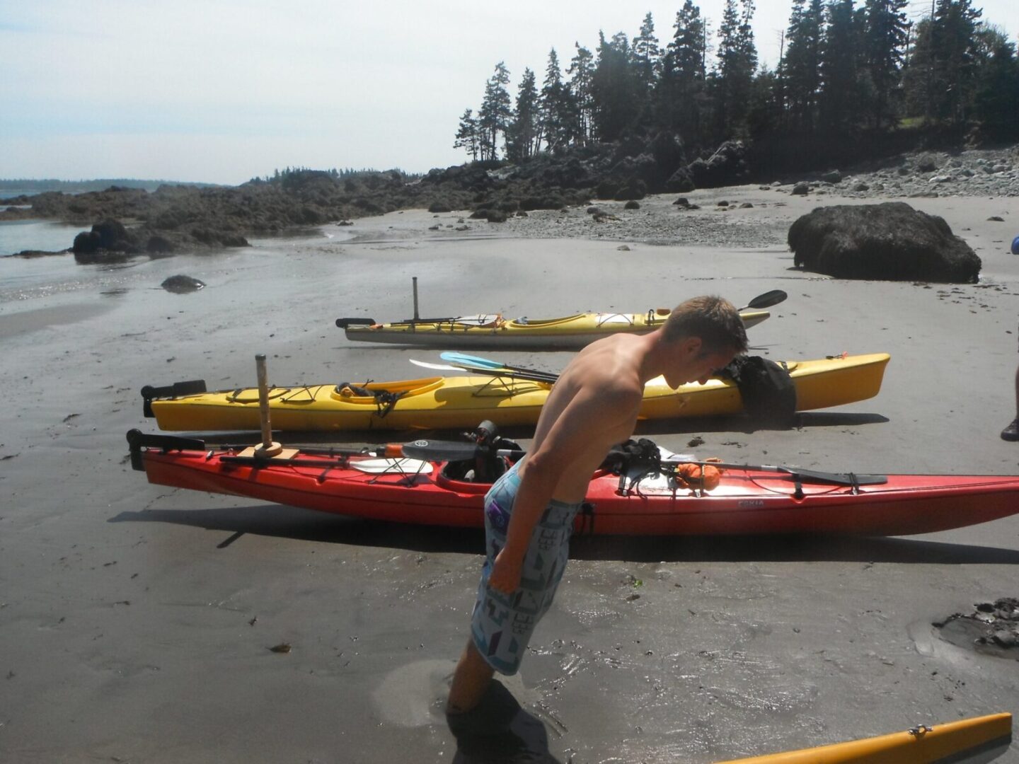 A man standing next to a group of kayaks on a beach.