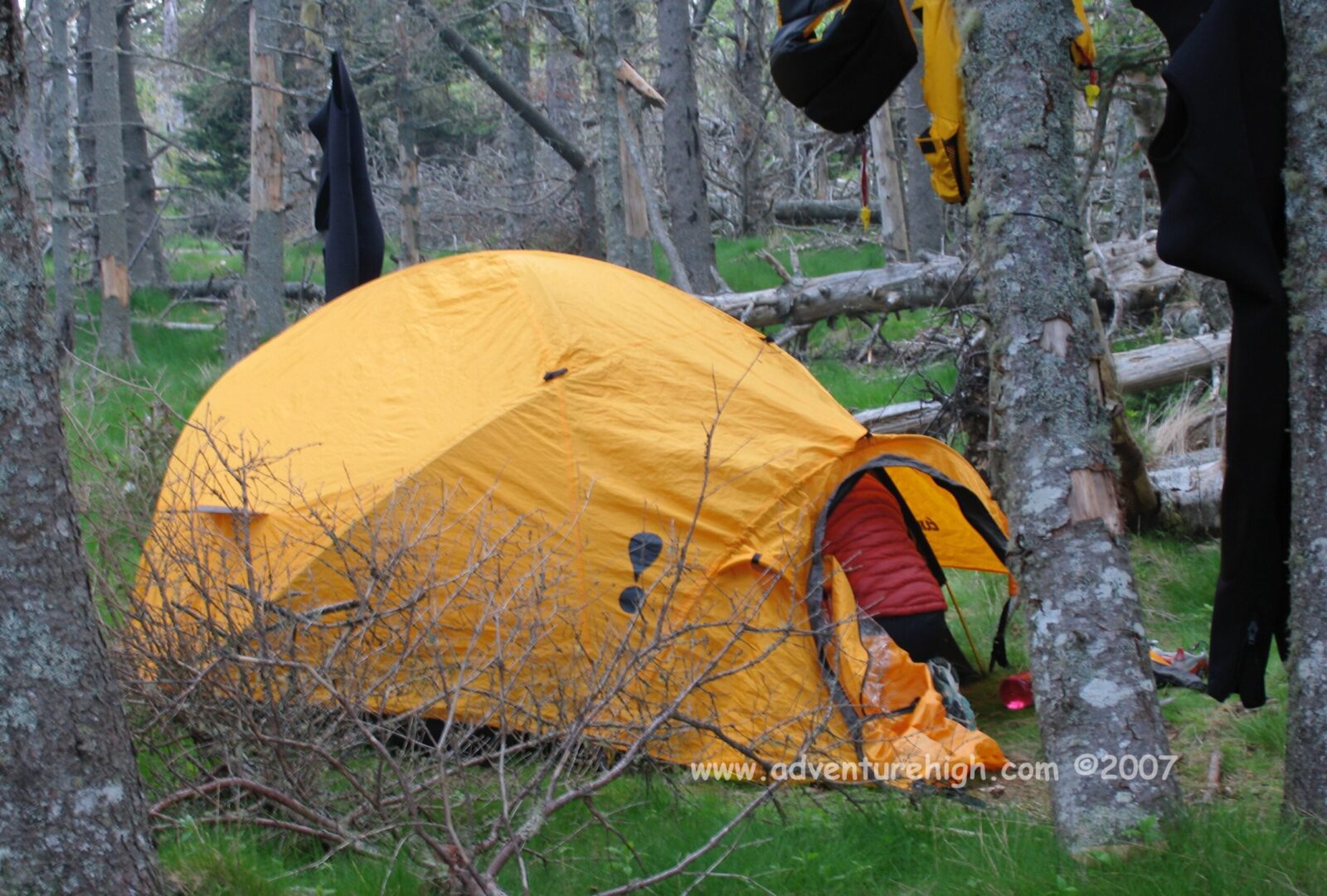 A yellow tent in a wooded area.