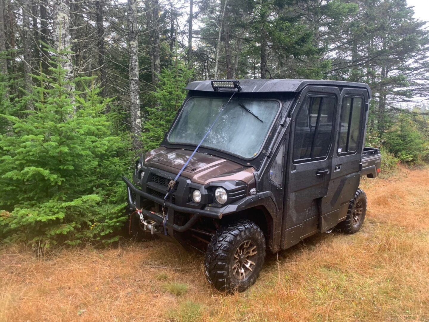 A mule utility vehicle parked in the woods.