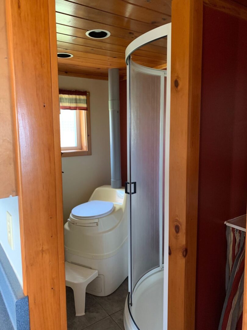 A bathroom with a toilet and shower.