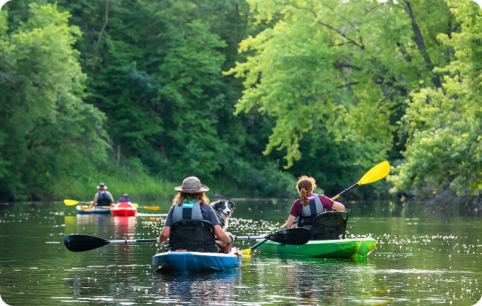 People kayaking on a calm forest river.