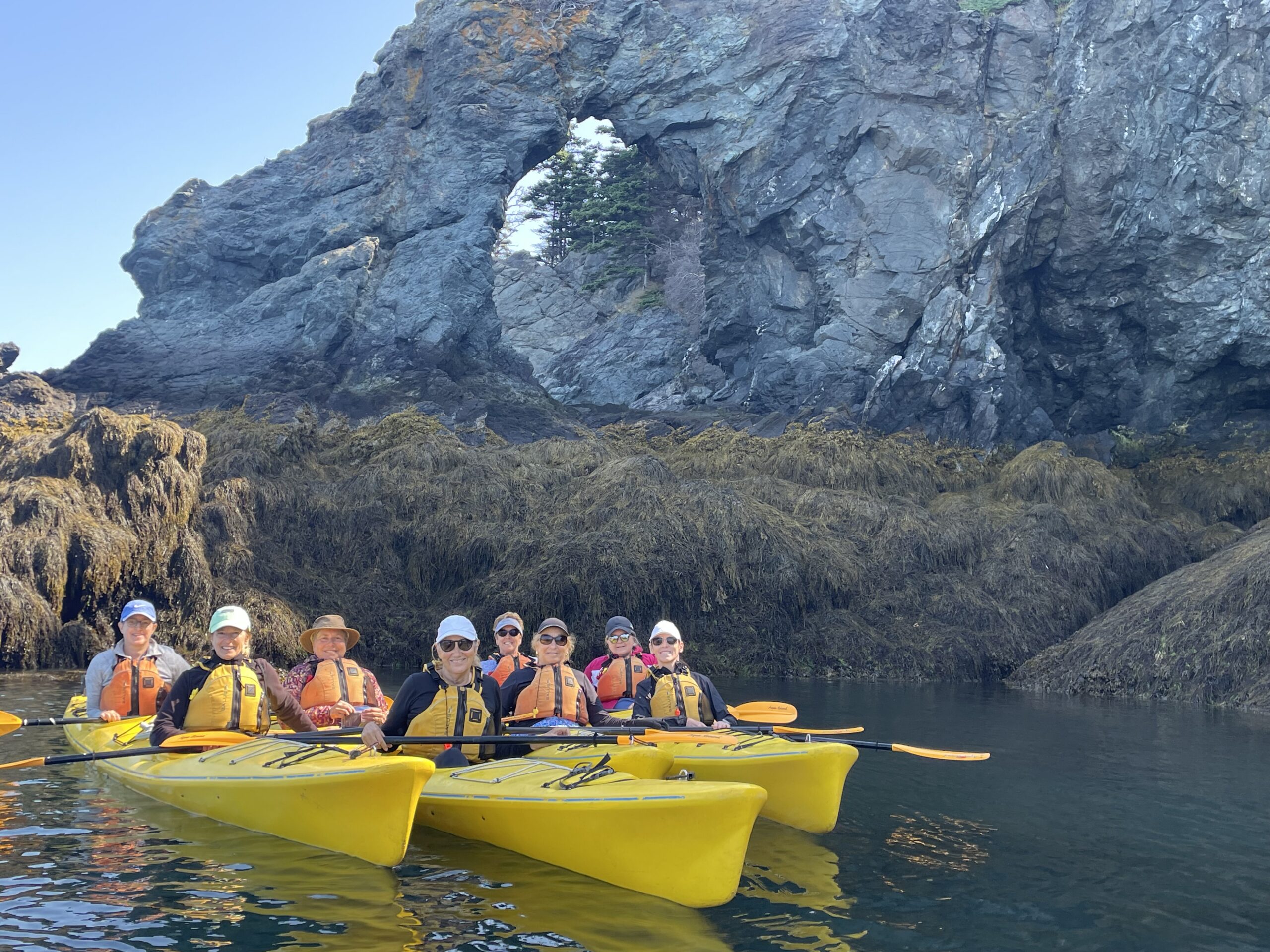 Adventurers paddling in coastal waters
