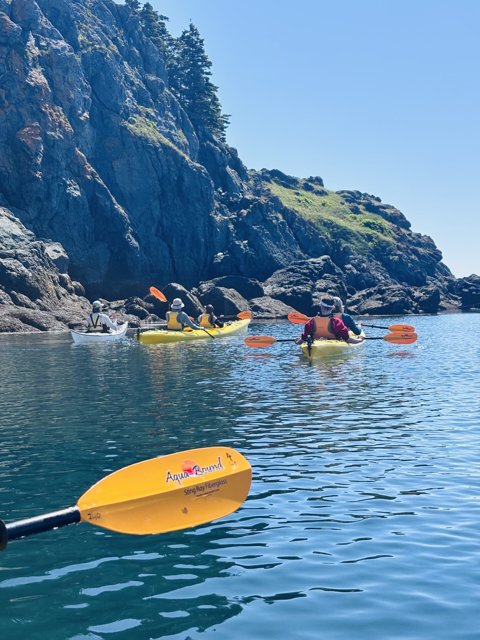 Colorful kayaks on clear blue water