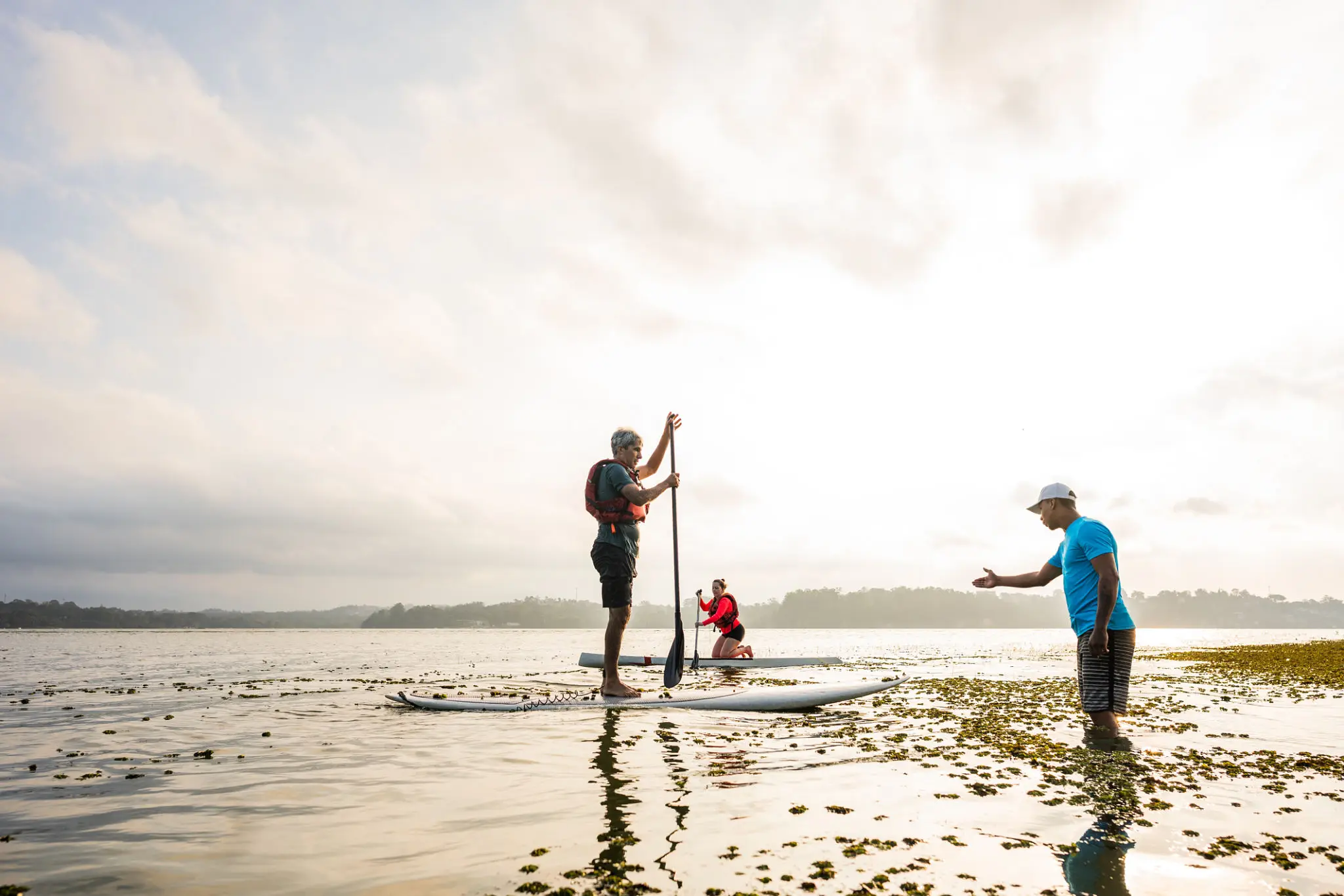 People paddleboarding on a calm lake.