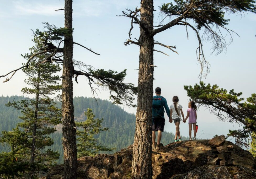 Family hiking on a scenic forest trail.